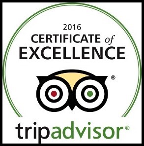 Image of 2016 Certificate of Excellence on Tripadvisor awarded to The Micro Museum