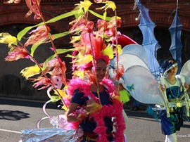 Carnival 15.01.2014